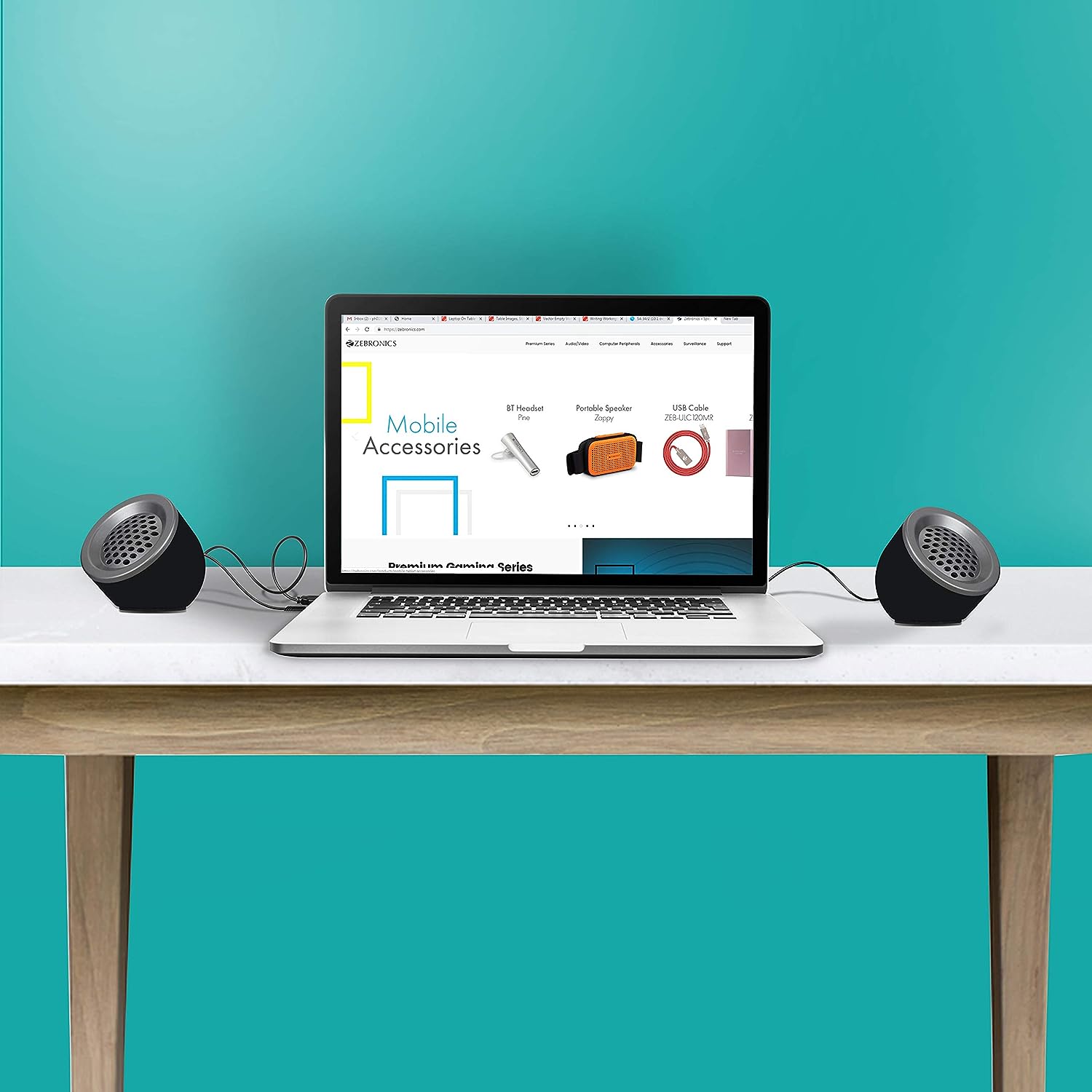 speaker